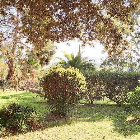La Suite Costabella A Hyeres-Les-Palmiers Buitenkant foto