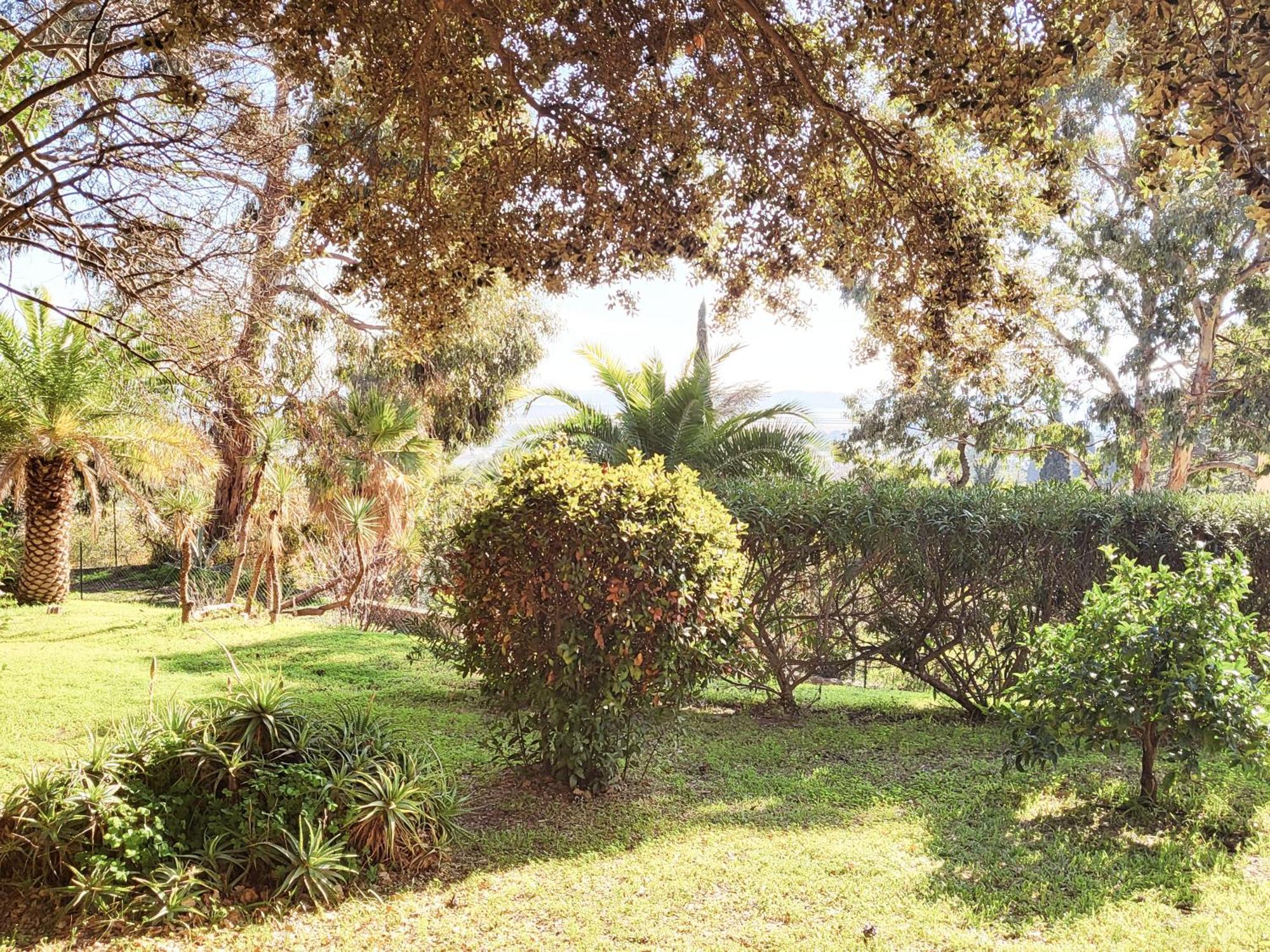 La Suite Costabella A Hyeres-Les-Palmiers Buitenkant foto
